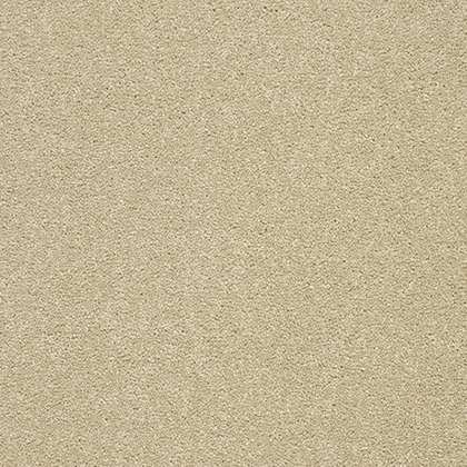 Stainfree Twist Carpet in Timeless Stainfree Twist Carpet in Timeless