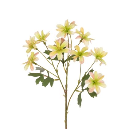 Floralsilk Balkan Anemone Floralsilk Balkan Anemone