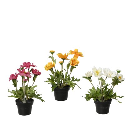 Kaemingk Potted Daisy Kaemingk Potted Daisy