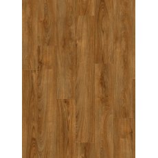 Roots in Midland Oak 22821 Roots in Midland Oak 22821