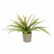 Floralsilk Fern in ceramic basket Floralsilk Fern in ceramic basket