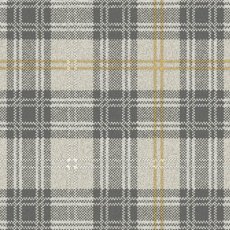 Braeburn In Forge Carpet Braeburn In Forge Carpet