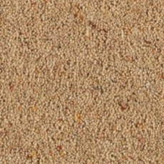 Carlton Twist In Oatmeal Carpet Carlton Twist In Oatmeal Carpet