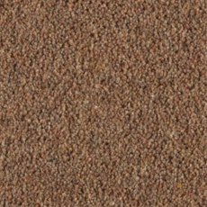 Carlton Twist In Peppercorn Carpet Carlton Twist In Peppercorn Carpet