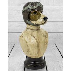 Racing Driver Dog Bust