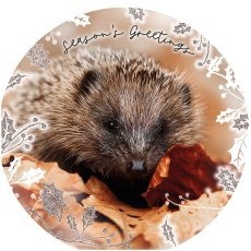 Otter House RSPB Hedgehog and Hare Luxury Xmas Cards