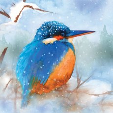 Otter House RSPB Kingfisher in the Snow Small Square Xmas Cards