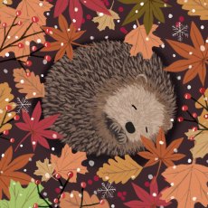 Otter House RSPB Sleeping Hedgehog Small Square Xmas Cards