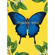 Ulysses Butterfly Pack of 8 Thank You Notecards