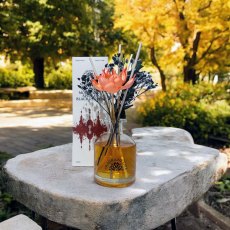 Fragrant Life Moroccan Spice & Black Pepper Diffuser Fragrant Life Moroccan Spice & Black Pepper Diffuser