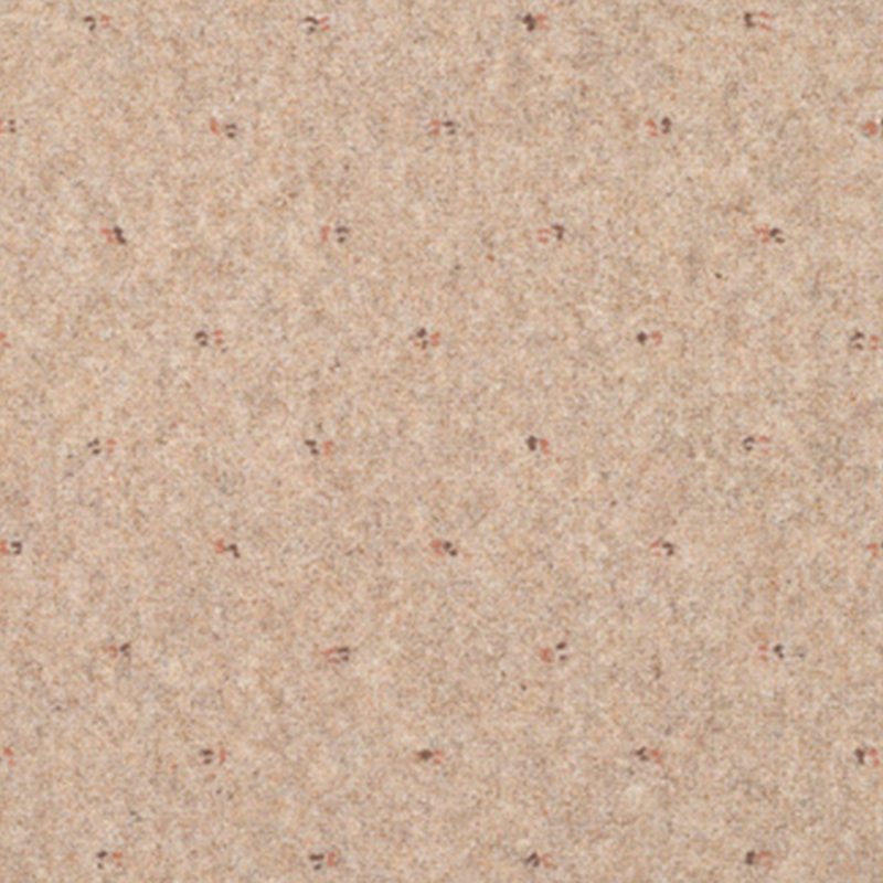 Adam Inspirations In Toasted Almond Dot Carpet