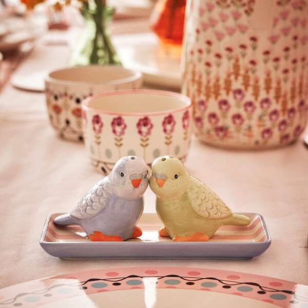 Cath Kidston Painted Table Budgie Salt & Pepper Set | Aldiss