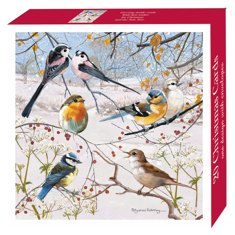 Otter House Winter Birds And Berries Bumper Box Of Xmas Cards