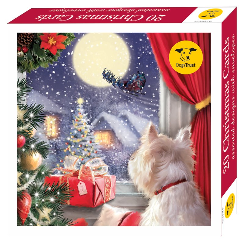 Otter House Dogs Trust 2024 Bumper Box Of Xmas Cards