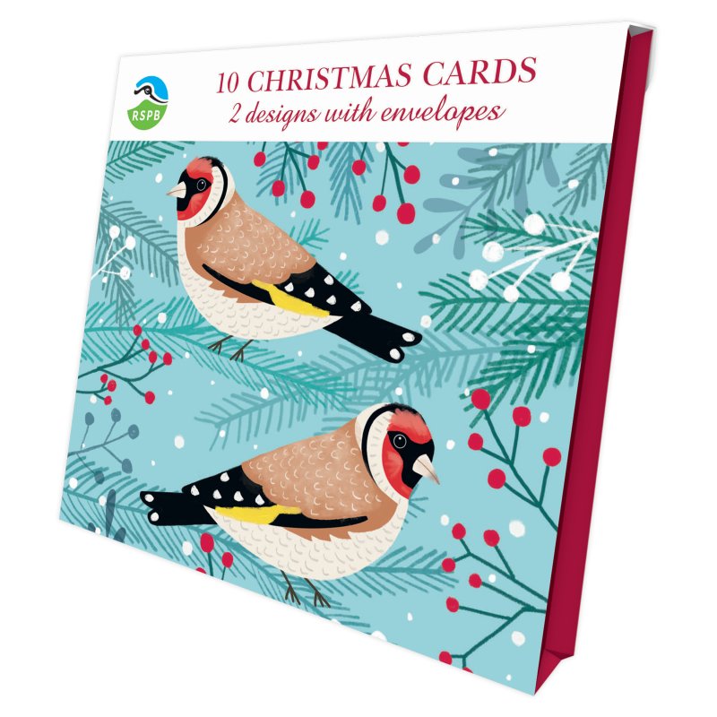 Otter House RSPB Birds And Berries Luxury Xmas Cards