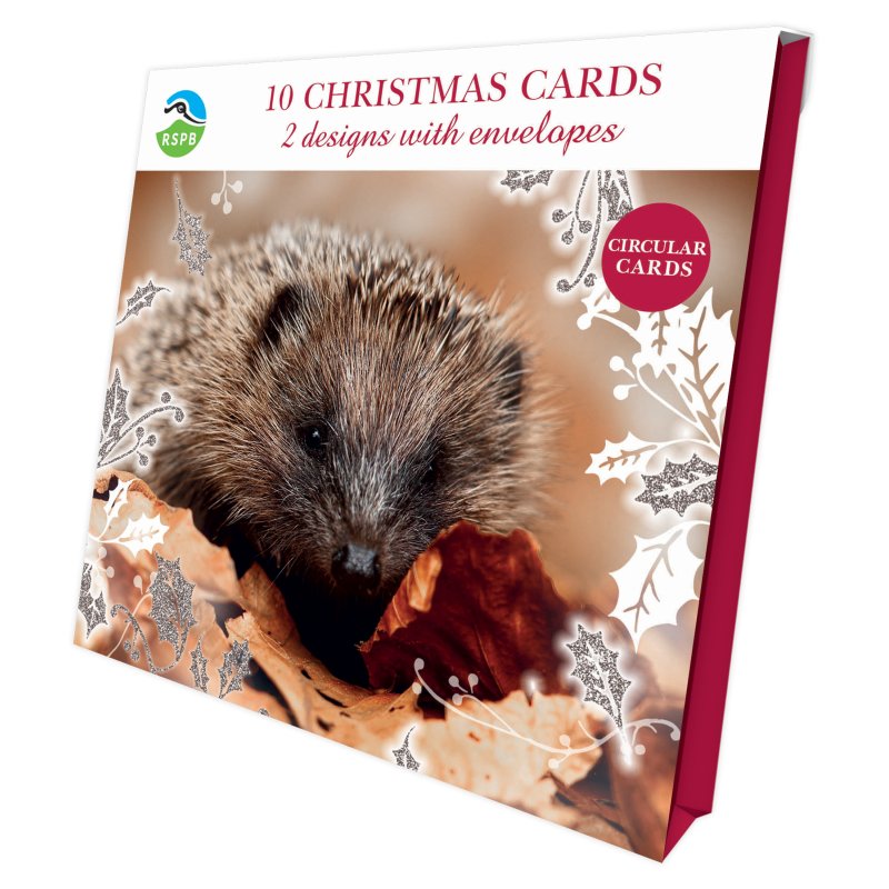 Otter House RSPB Hedgehog And Hare Luxury Xmas Cards