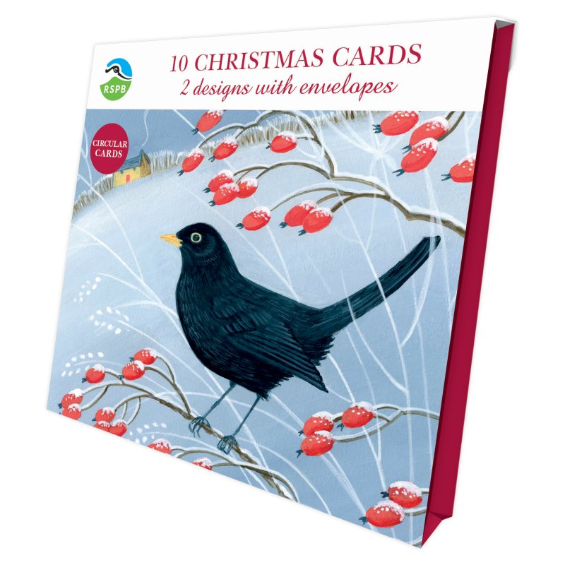 Otter House RSPB Christmas Birdsong Luxury Xmas Cards