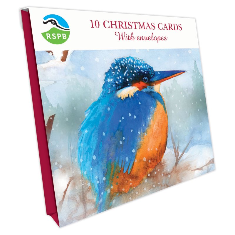 Otter House RSPB Kingfisher In The Snow Small Square Xmas Cards