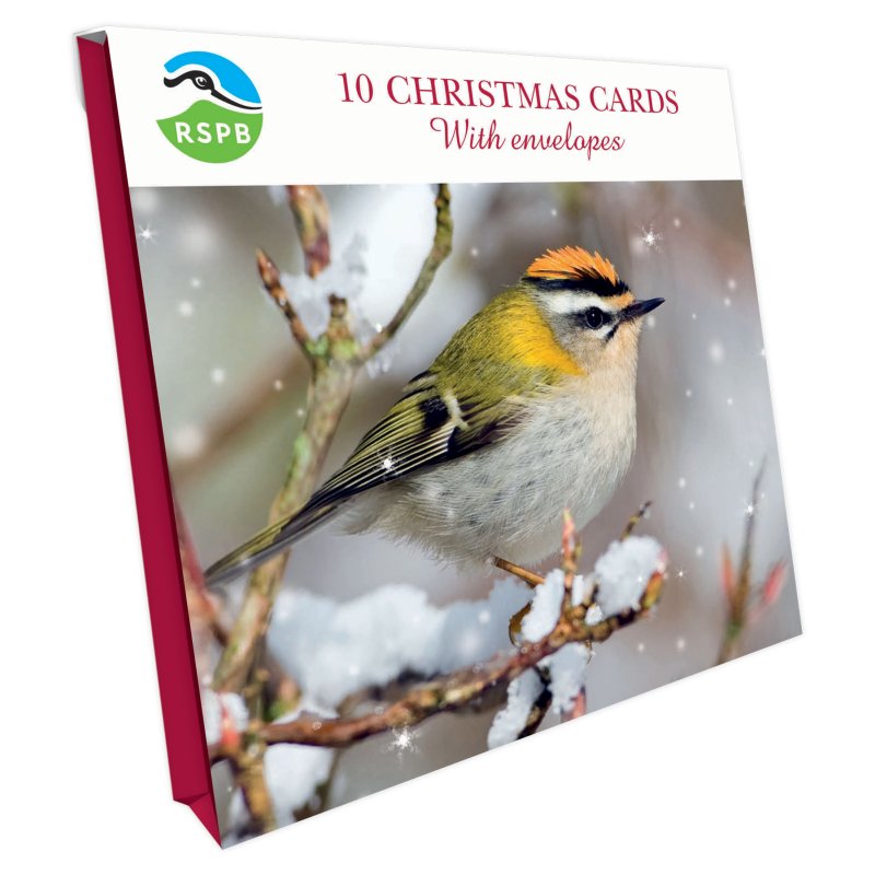 Otter House RSPB Snowy Firecrest Small Square Xmas Cards