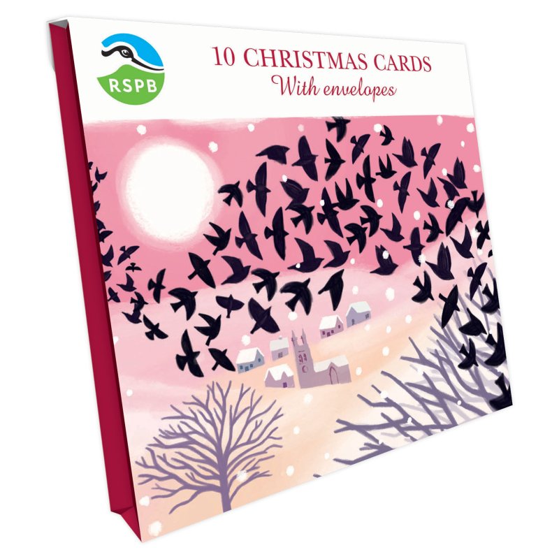 Otter House RSPB Starling Murmuration Small Square Xmas Cards