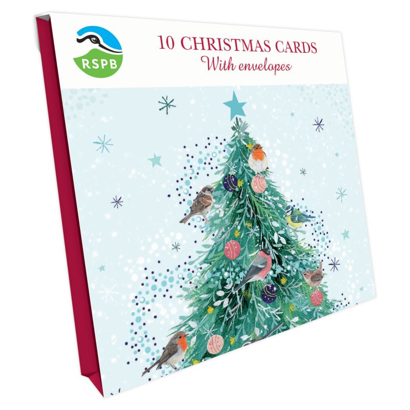 Otter House RSPB Tree Of Birds Small Square Xmas Cards