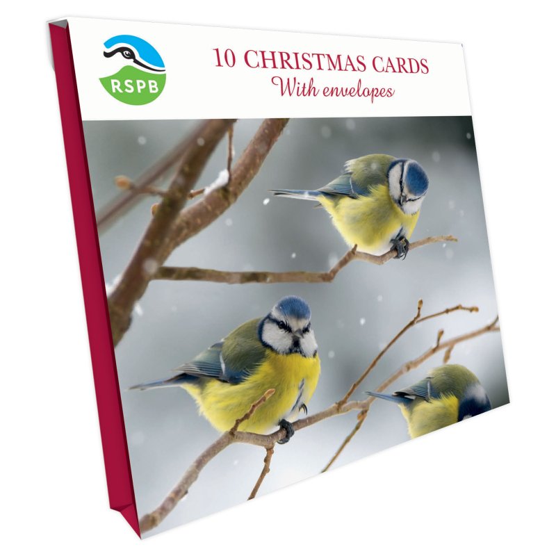 Otter House RSPB Blue Tits On Branches Small Square Xmas Cards