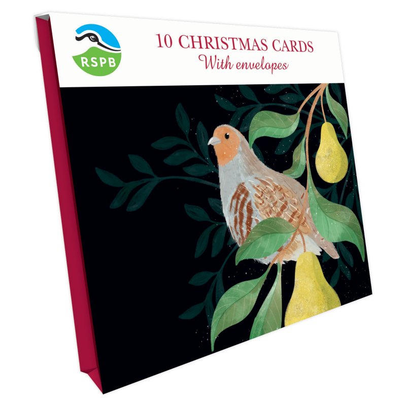 Otter House RSPB Partridge And Pears Small Square Xmas Cards