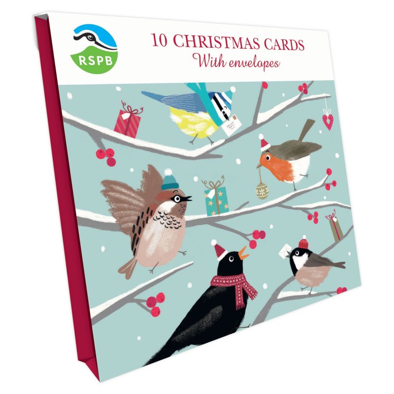 Otter House RSPB Cheery Festive Birds Small Square Xmas Cards packaging