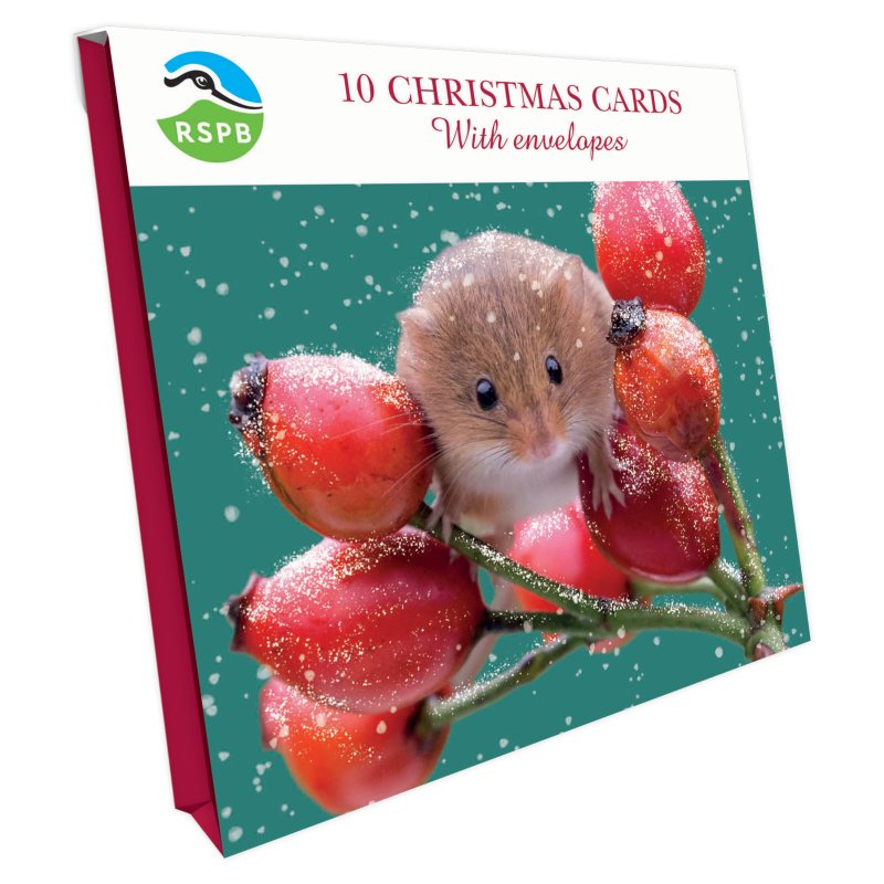 Otter House RSPB Harvest Mouse Small Square Xmas Cards packaging