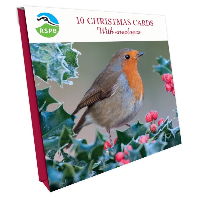 Otter House RSPB Chirpy Robin Small Square Xmas Cards packaging