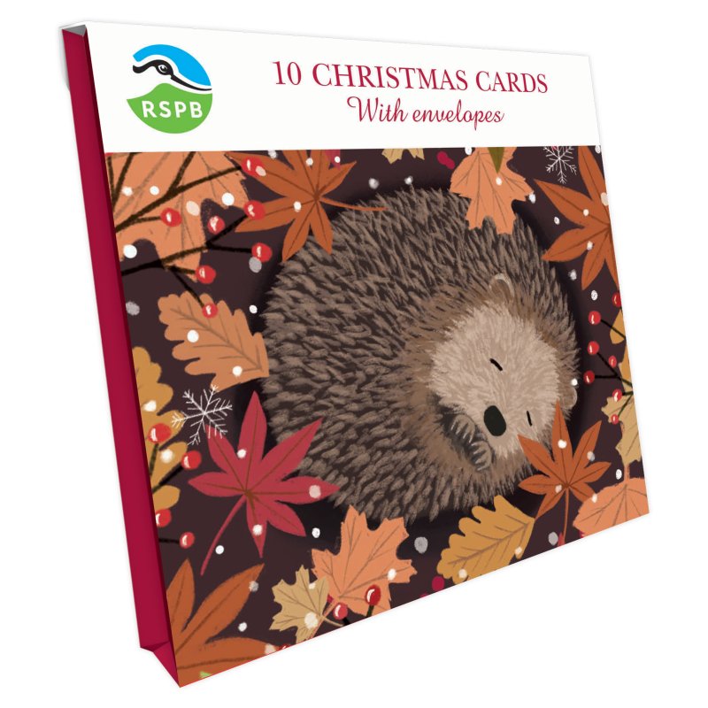 Otter House RSPB Sleeping Hedgehog Small Square Xmas Cards packaging