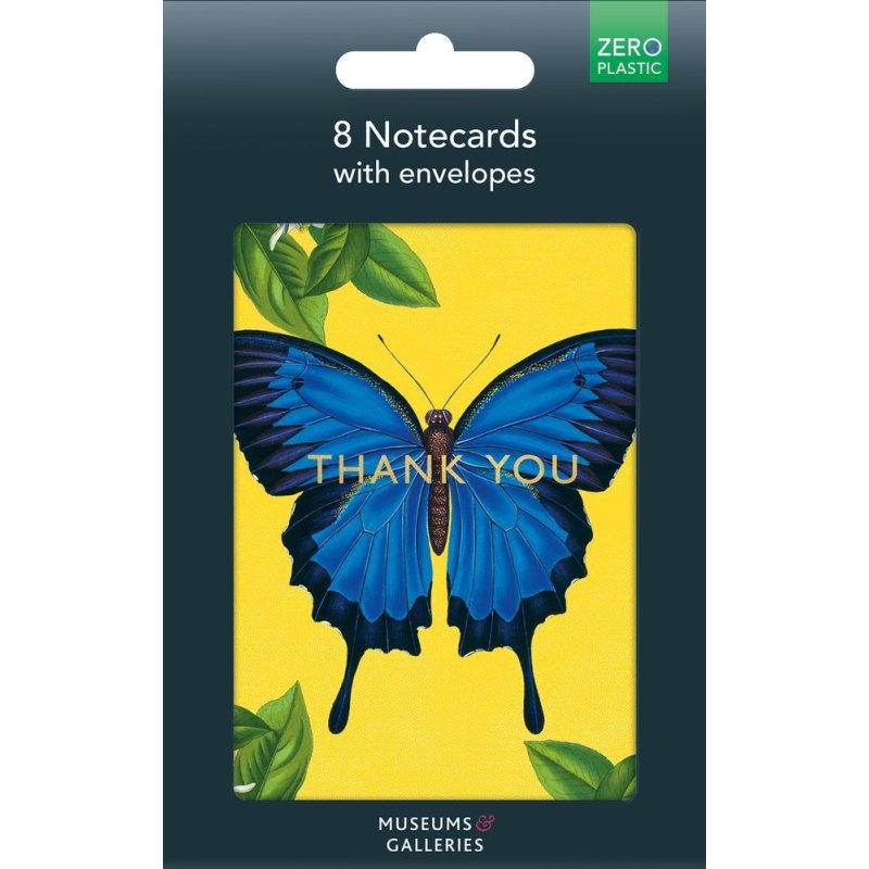 Ulysses Butterfly Pack Of 8 Thank You Notecards in packaging