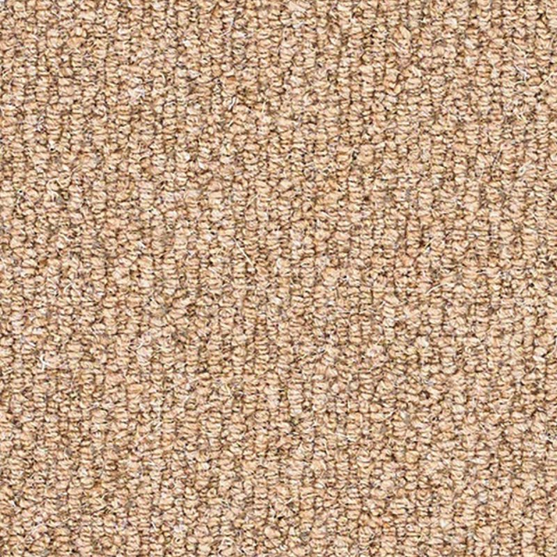 Cosy Weave Carpet In Family