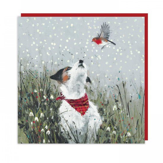 Art Marketing Feathered Friend Pack Of 6 Cards