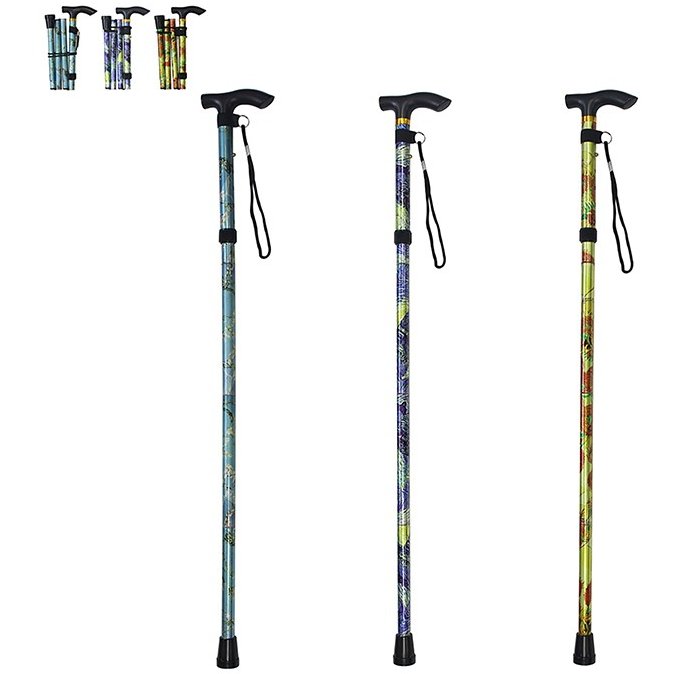 Shudehill Vincent Van Gogh Folding Walking Stick