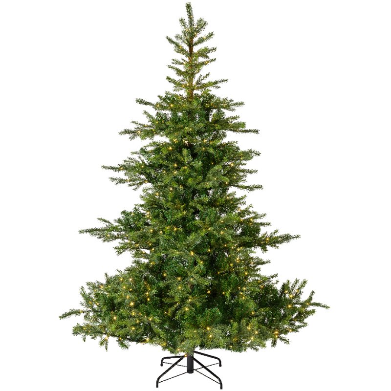 Kaemingk Grandis fir Micro LED indoor