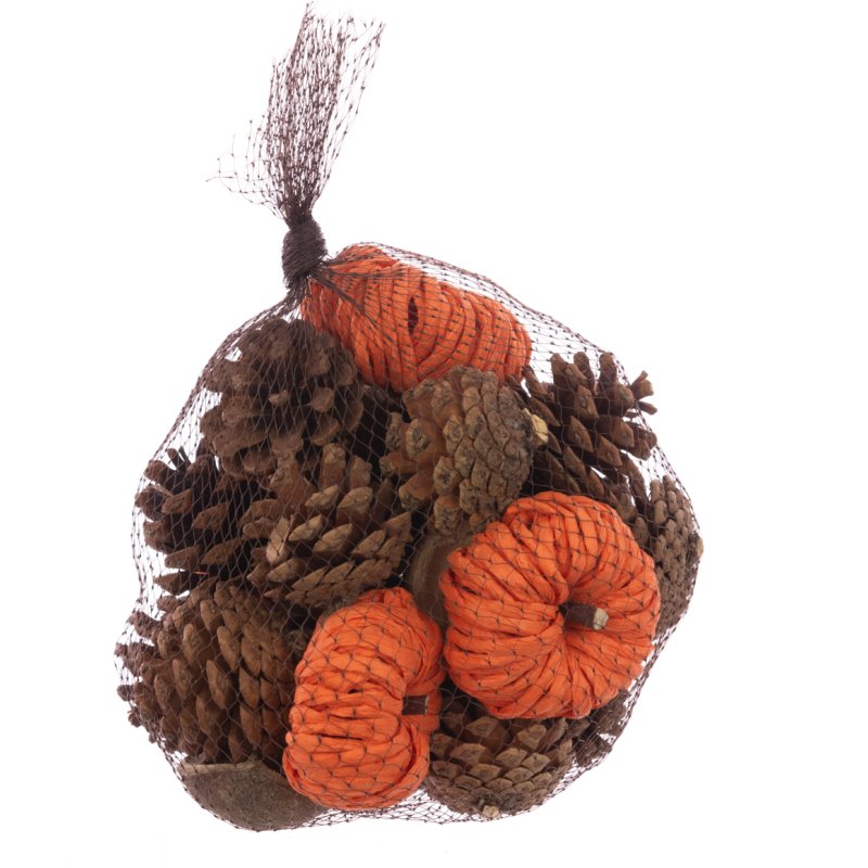 Floralsilk Pumpkin Pine Cone Bag Mix