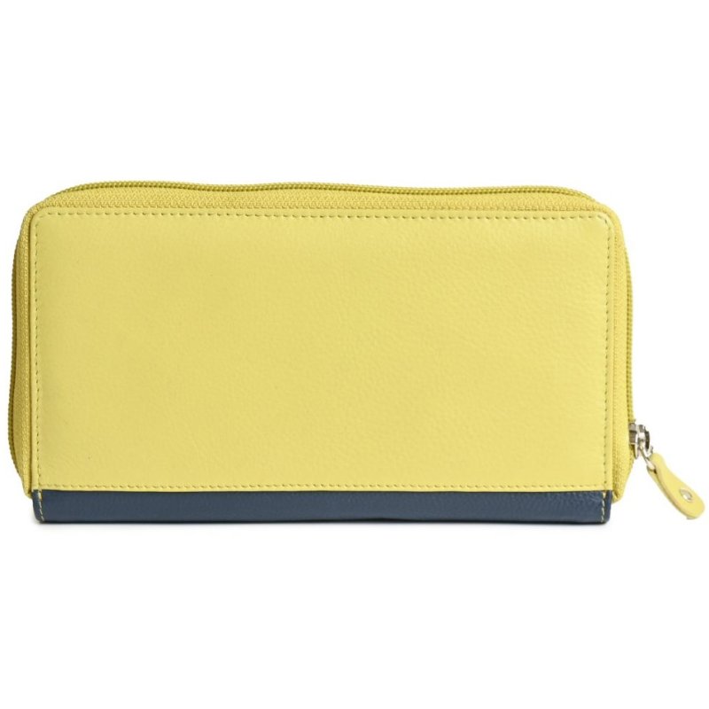 Golunski Lime And Navy Purse closed