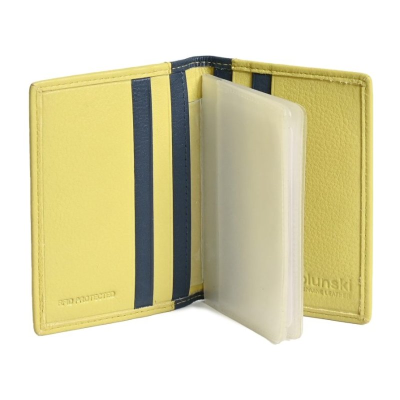 Golunski Lime And Navy Cardholder open