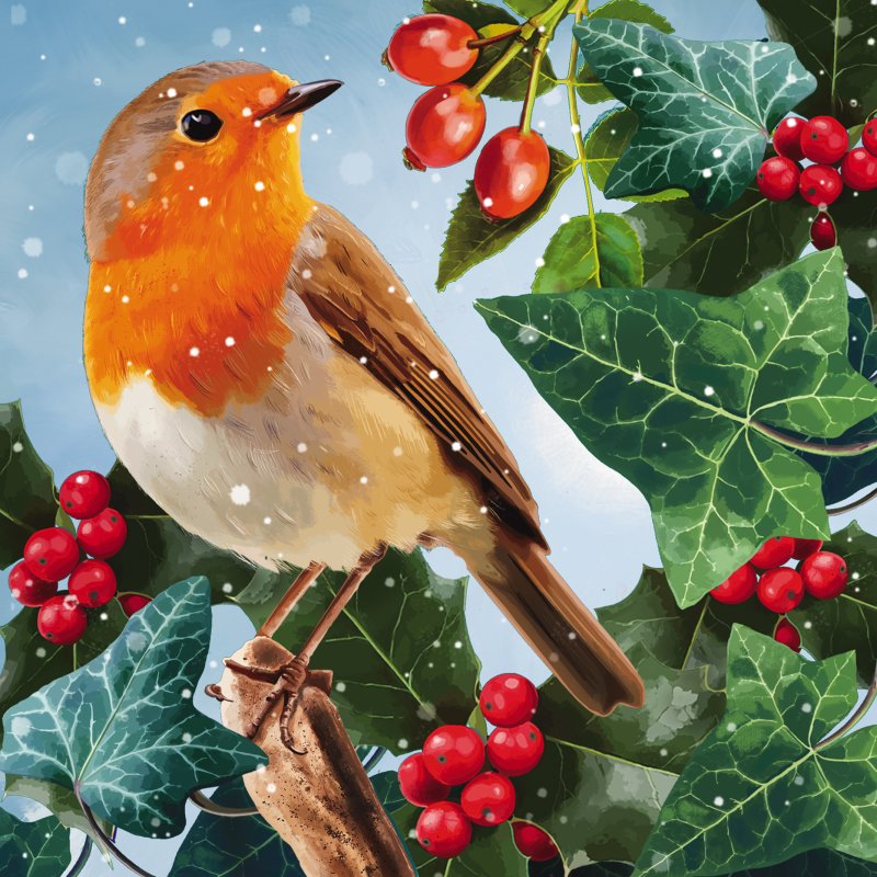 Robin Pack of Christmas Cards