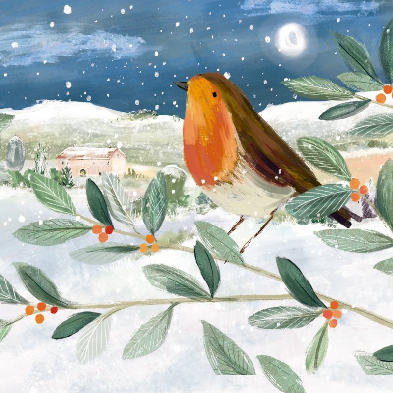 Robin and Berries Pack of Christmas Cards