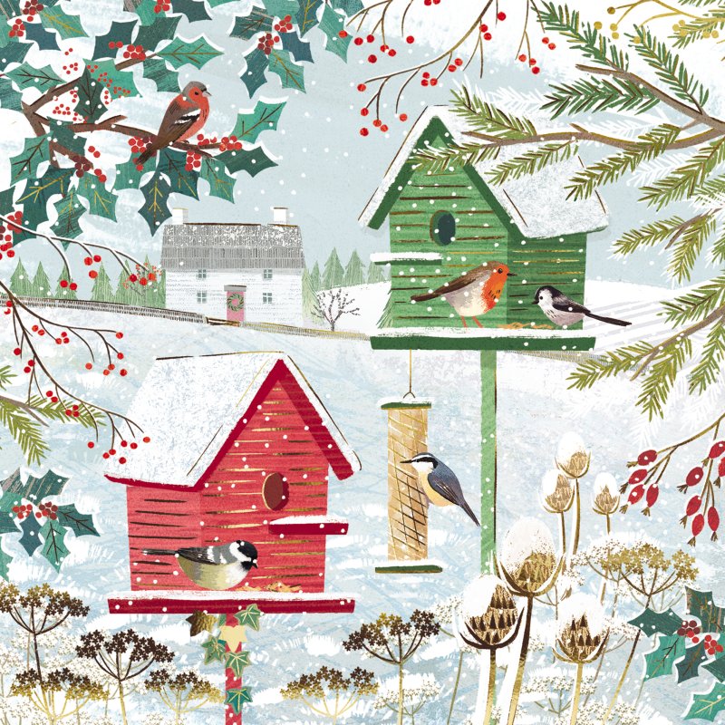 Bird House Pack of Christmas Cards