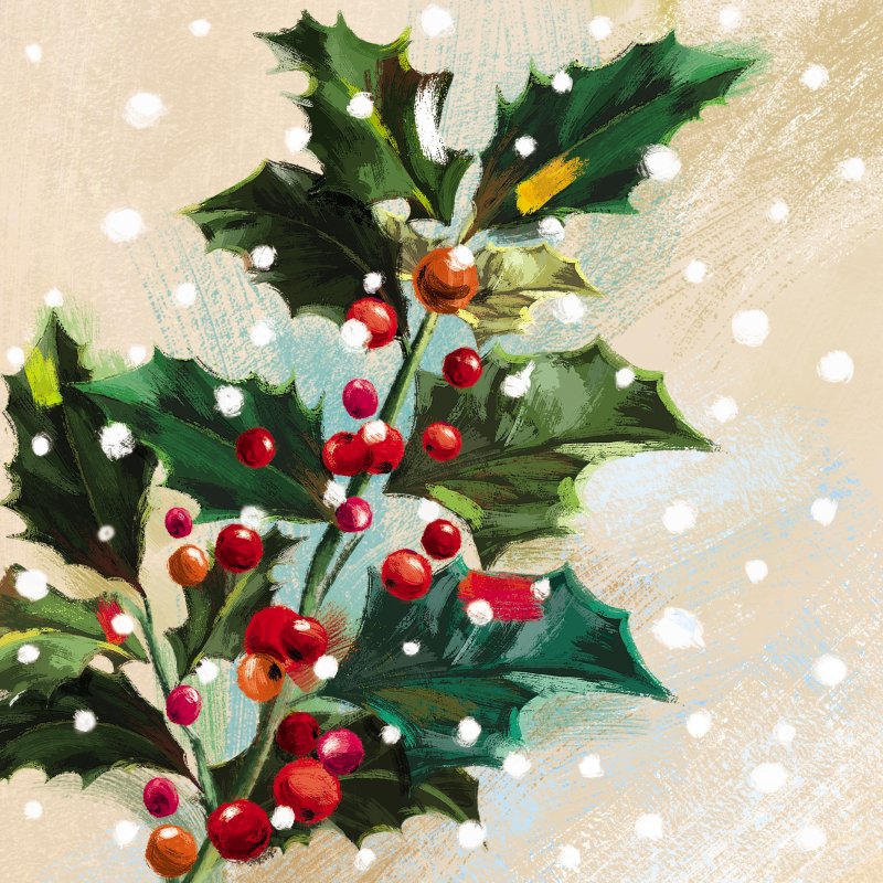 Oleo Holly Pack of Christmas Cards