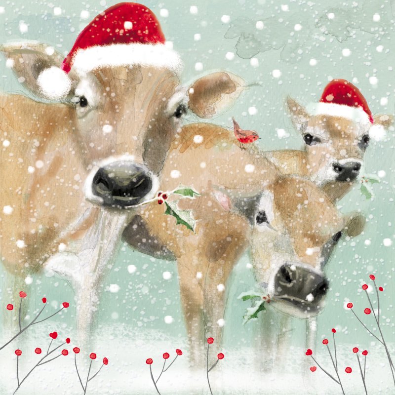 Christmas Cows Pack of Christmas Cards