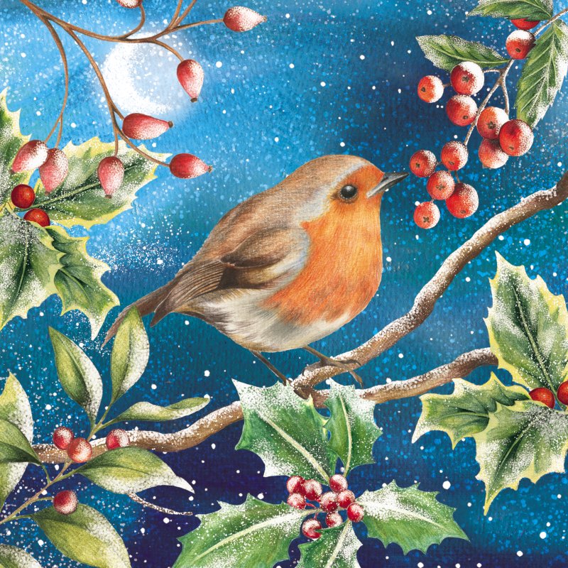 Robin on Branch with Berries Pack of Christmas Cards