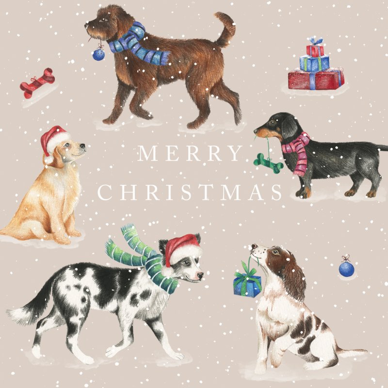 Dogs with Gifts Pack of Christmas Cards