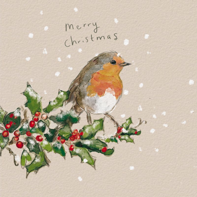 Country Journal Watercolour Robin Pack of Christmas Cards