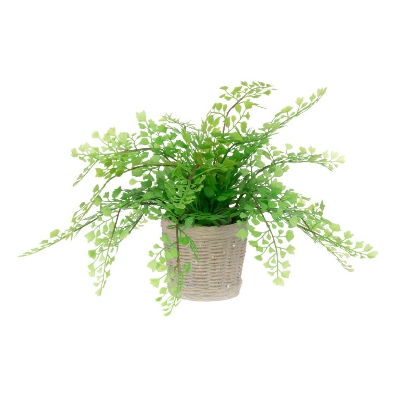 Floralsilk Maidenhair Fern In Clay Pot 30cm