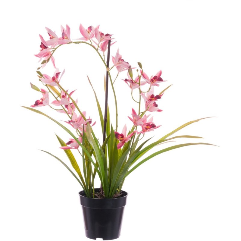 Floralsilk 3 Cymbidium In Pot 66cm