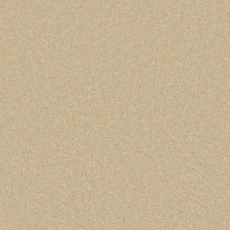 Cormar Zenith carpet in Palomino Gold